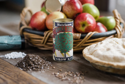 Apple Tree | Seed Grow Kit
