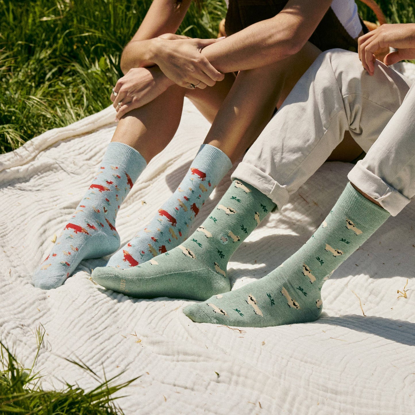 Socks that Save Sheep: Medium