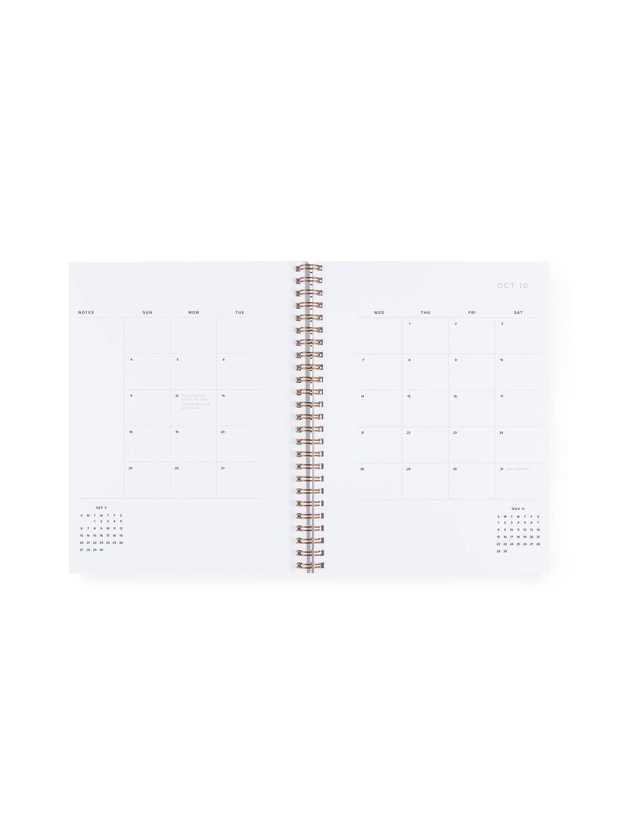 26-27 Weekly Grid Planner: Blossom Pink / None
