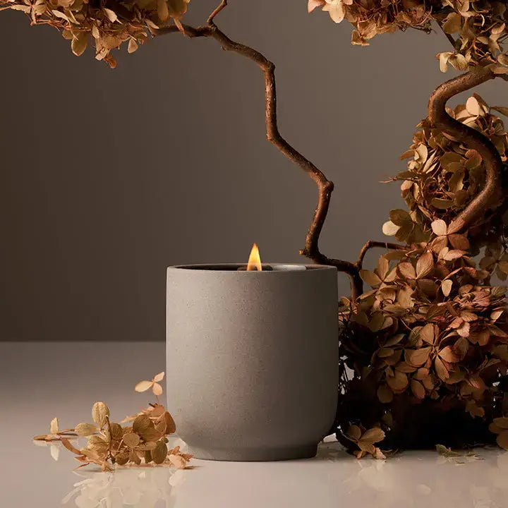 Signature Candle | Half Case: Neroli Leaf
