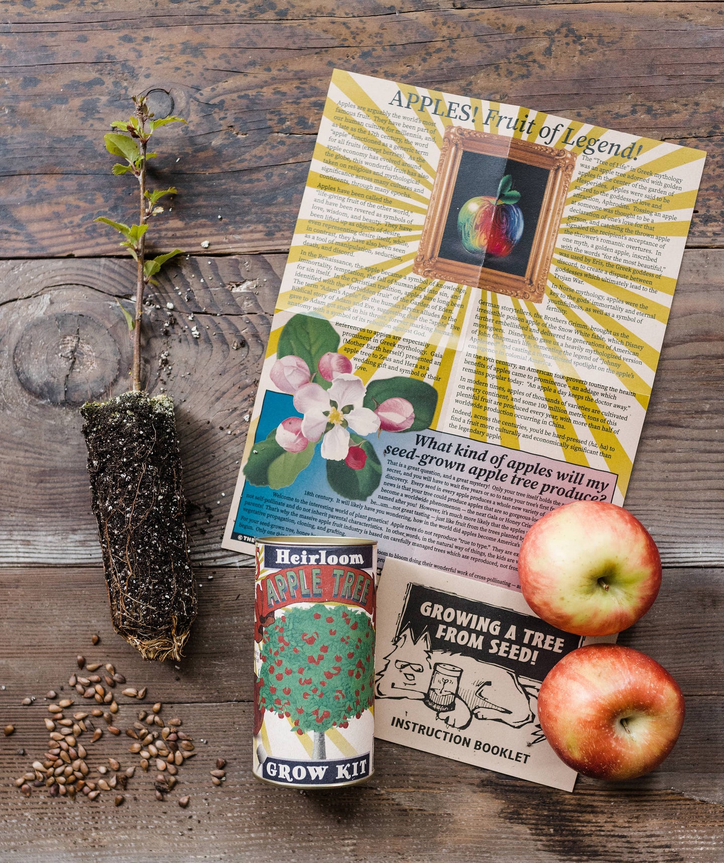 Apple Tree | Seed Grow Kit