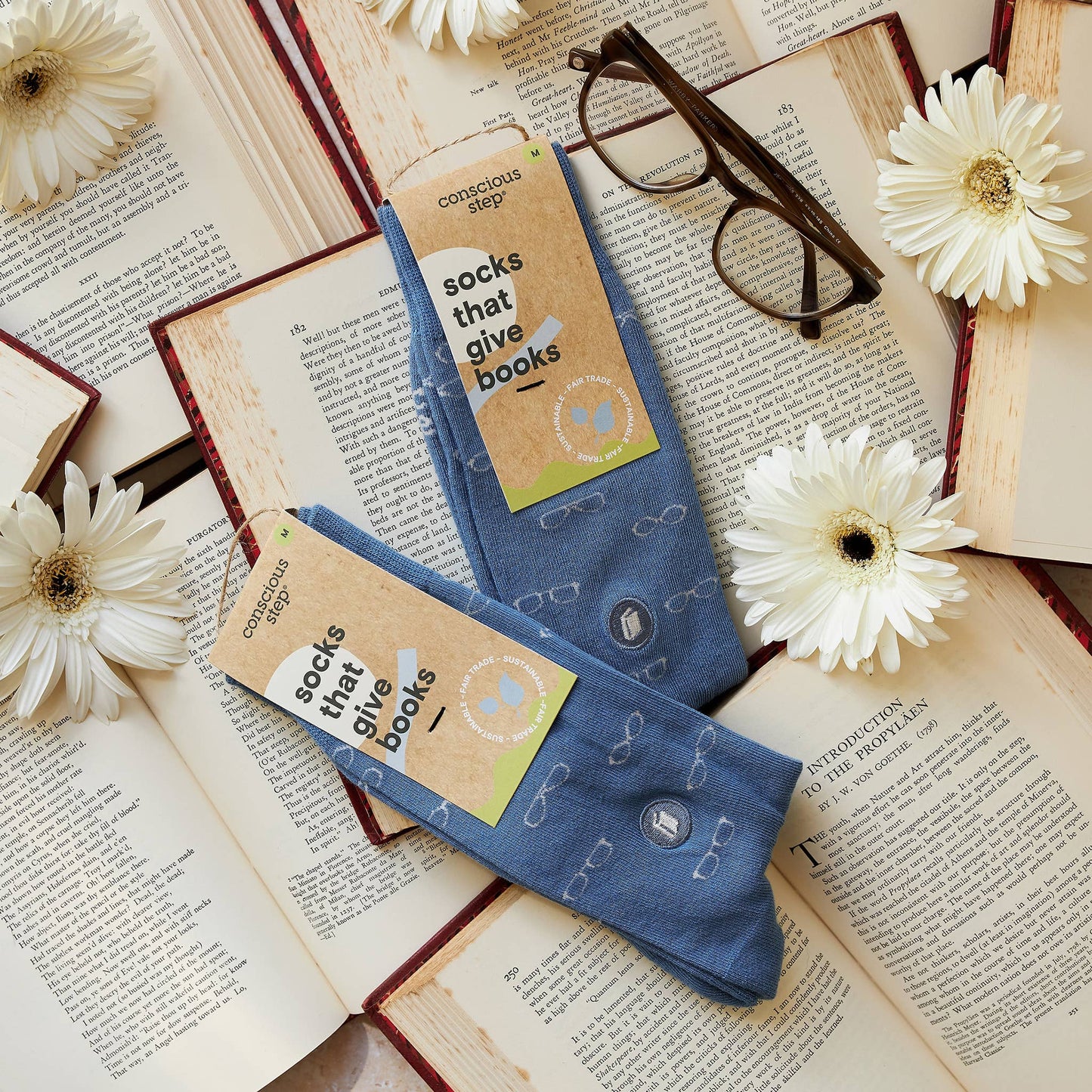 Socks that Give Books (Blue Glasses): Small