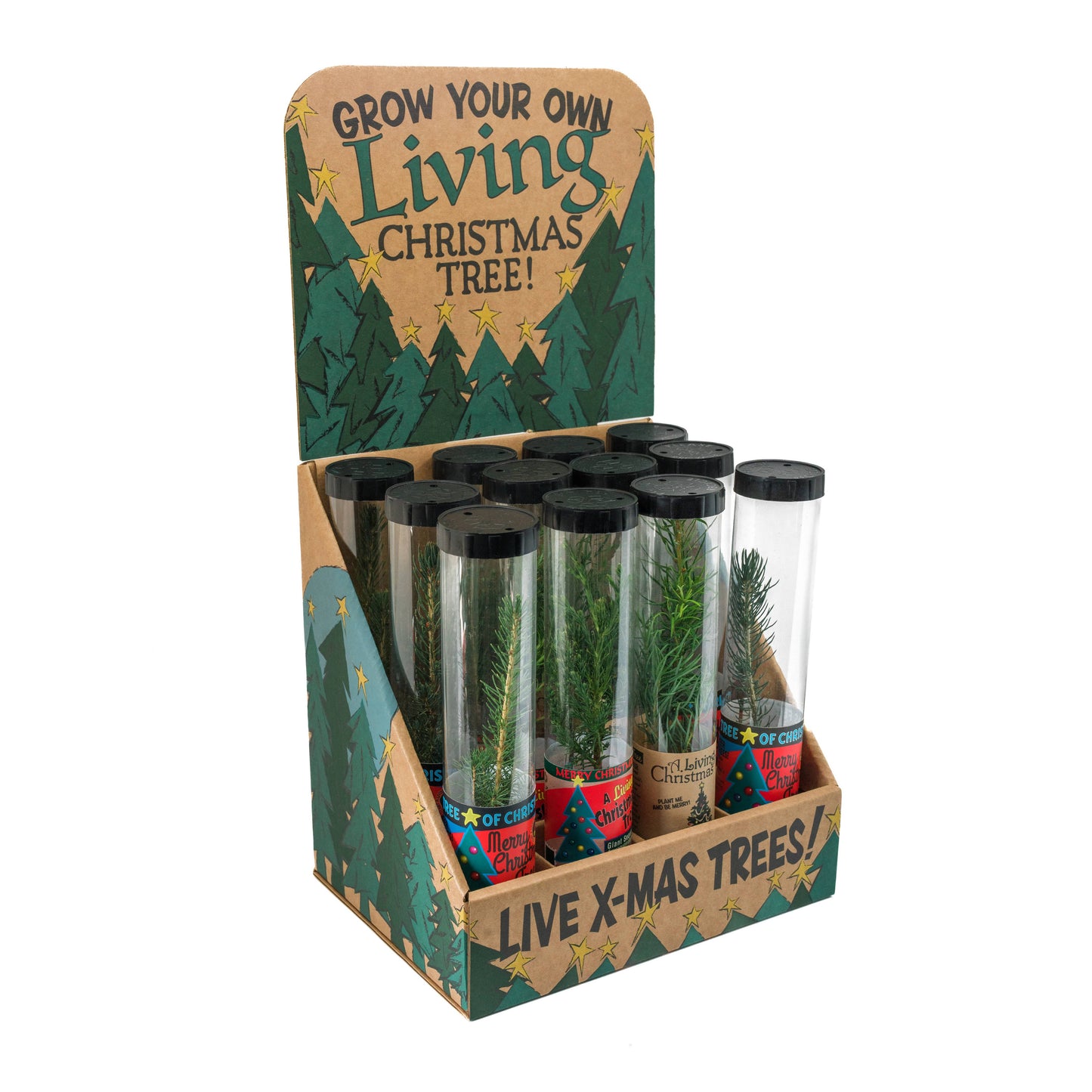 Christmas Tree Collection | 12 Live  Trees w/ Display