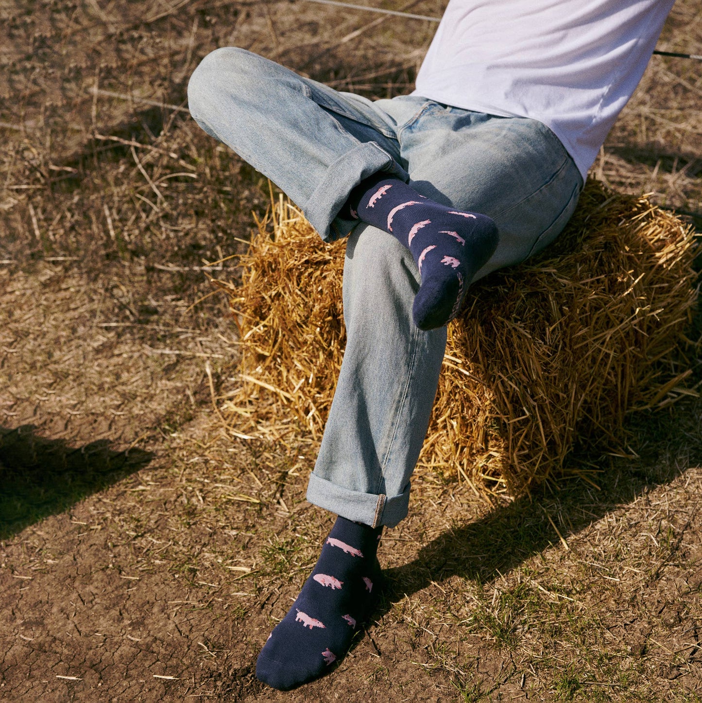 Socks that Save Pigs: Small