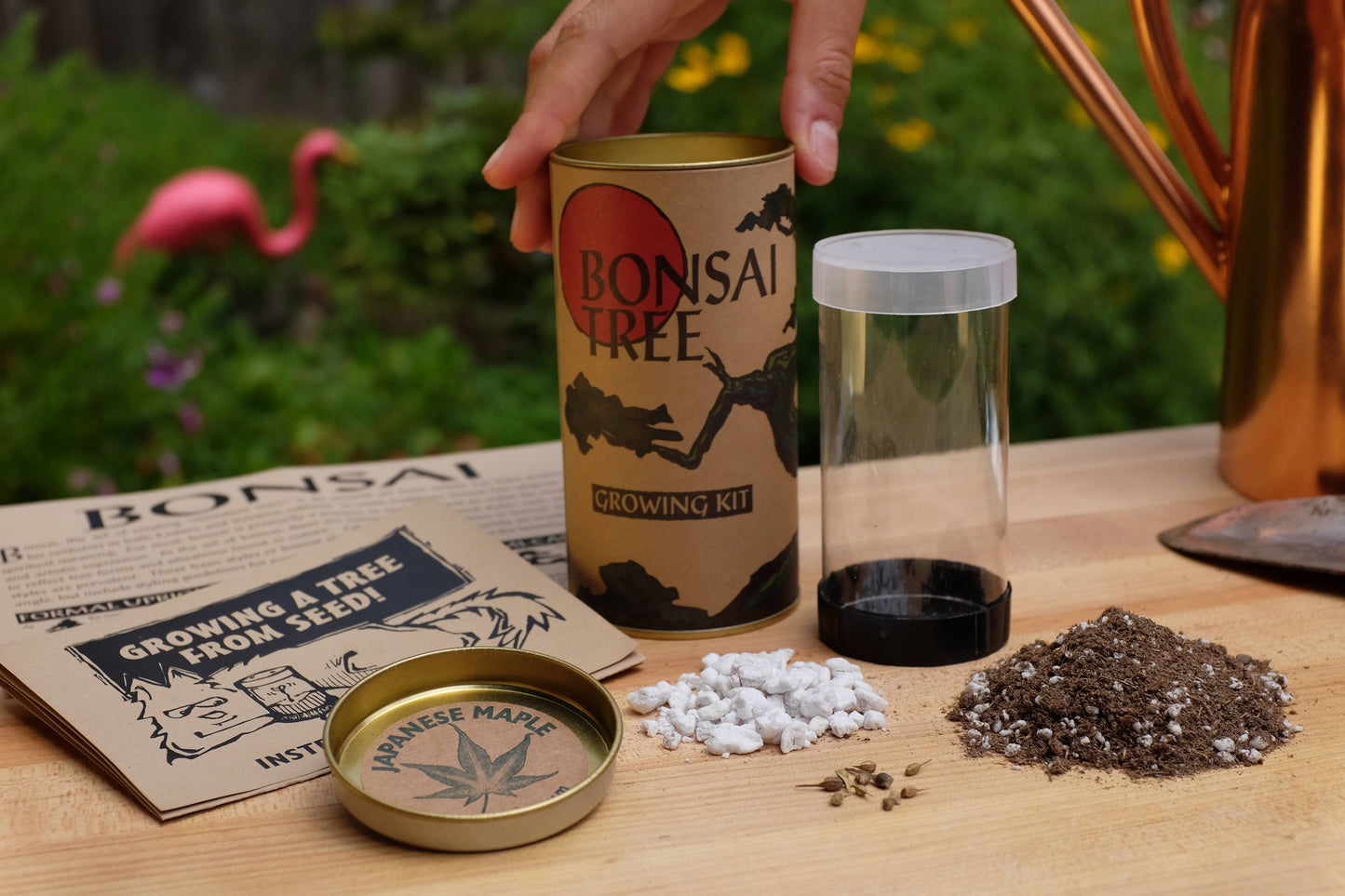 Bonsai Tree | Seed Grow Kit: Japanese Maple
