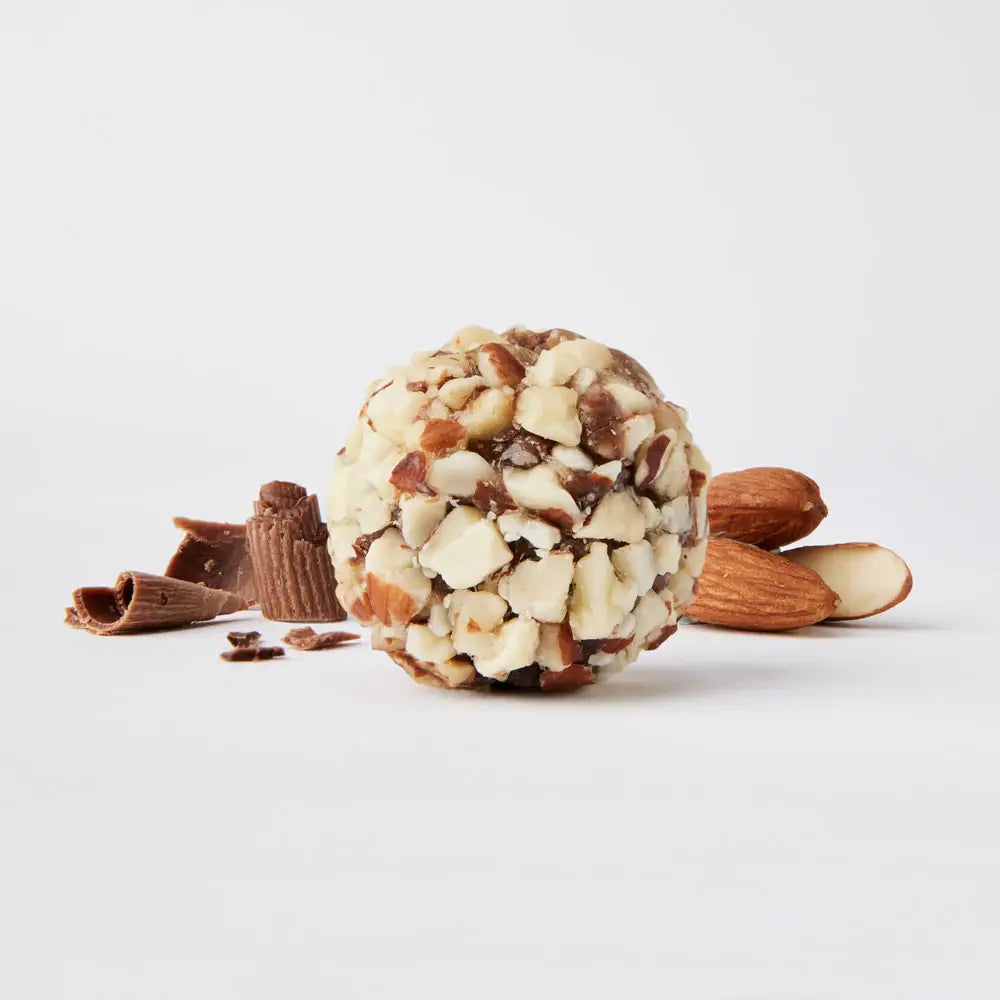 Dark Chocolate Almond Protein Bites