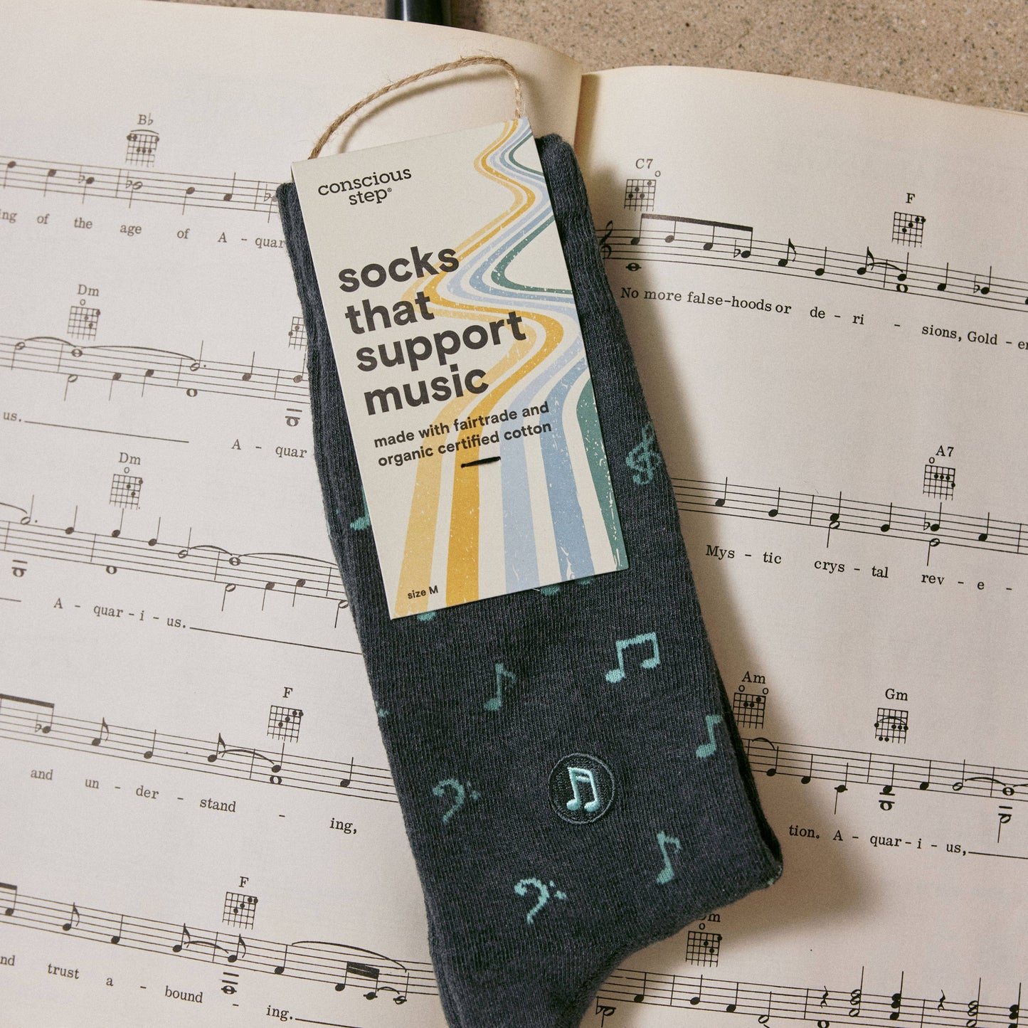 Socks that Support Music (Gray Music Notes): Medium