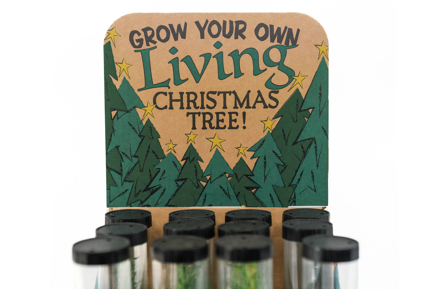 Christmas Tree Collection | 12 Live  Trees w/ Display