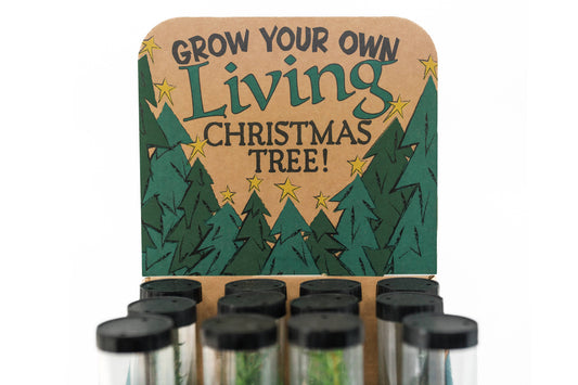 Christmas Tree Collection | 12 Live  Trees w/ Display