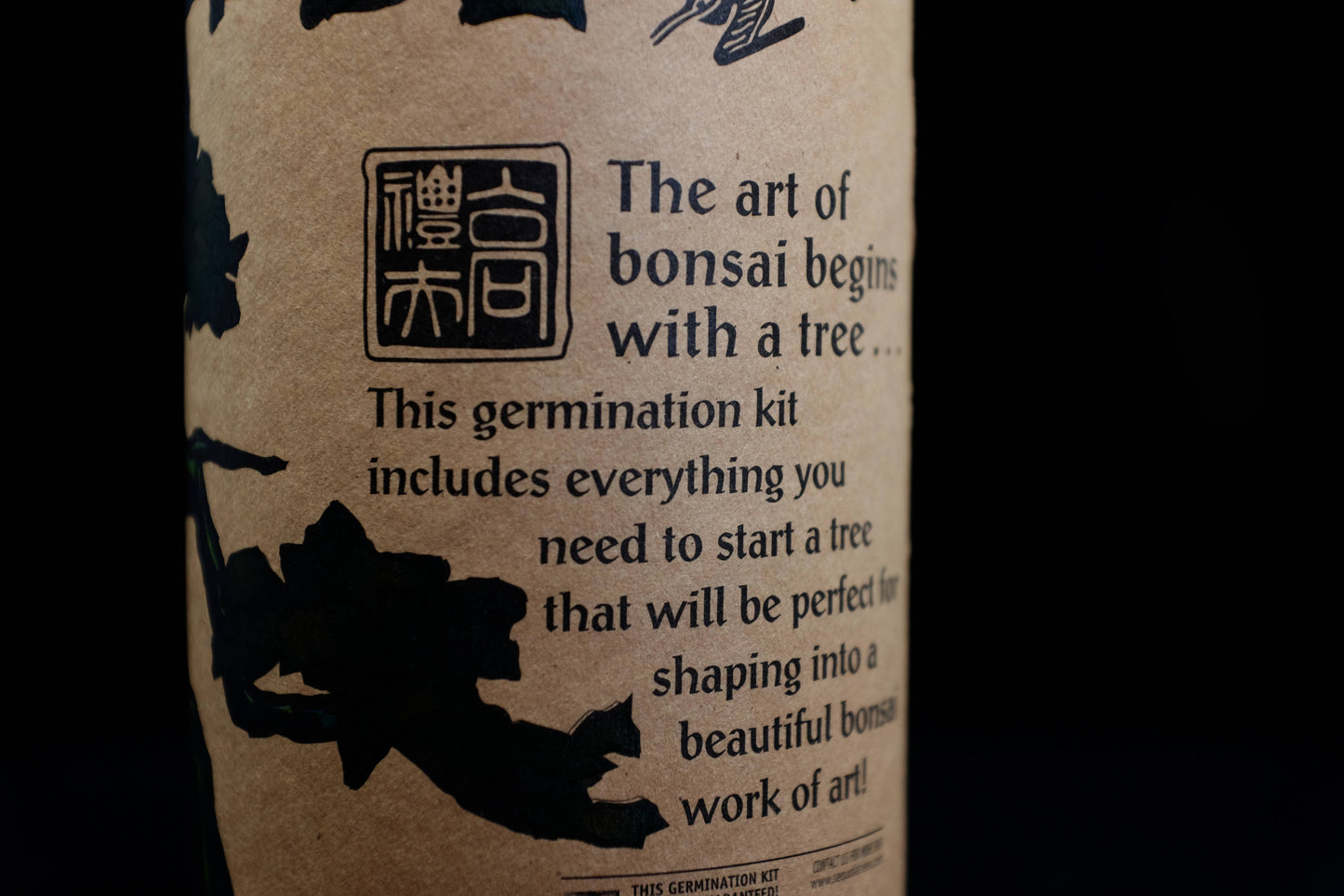 Bonsai Tree | Seed Grow Kit: Japanese Maple