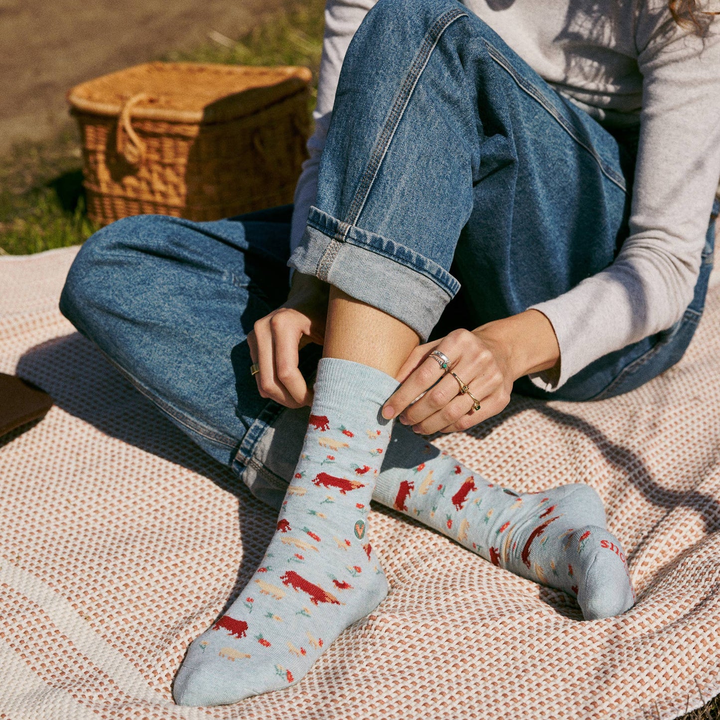 Socks that Save Farm Animals: Medium