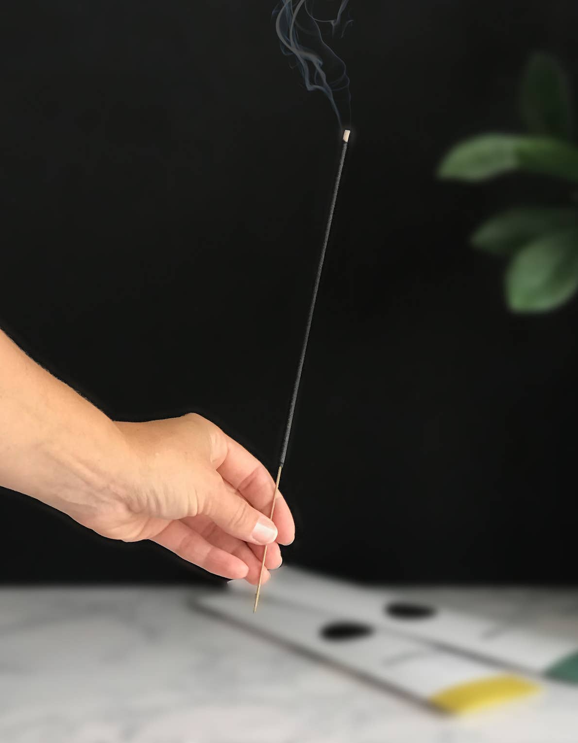 Signature: Canopy Incense