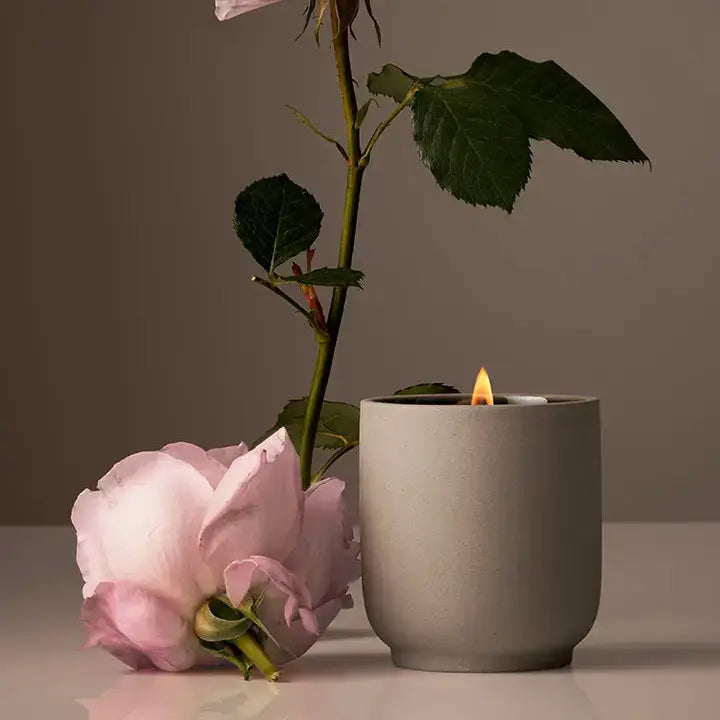 Signature Candle | Half Case: Neroli Leaf
