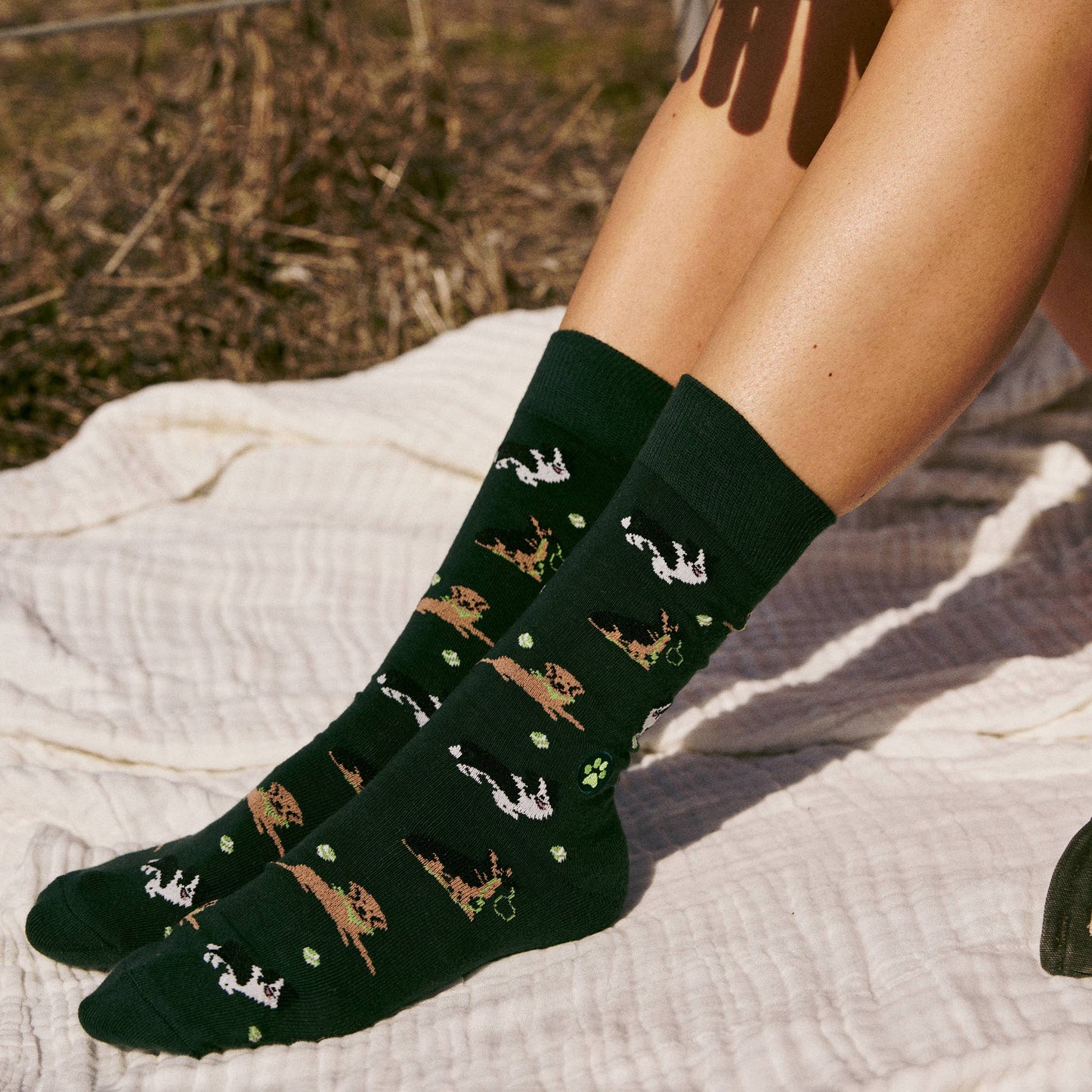 Socks that Save Dogs (Go Fetch): Small