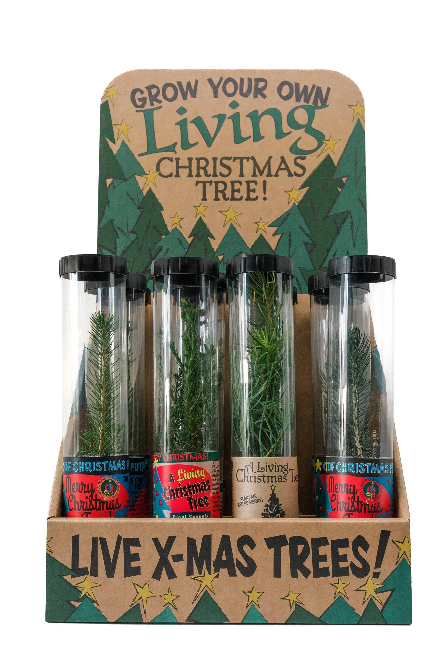 Christmas Tree Collection | 12 Live  Trees w/ Display