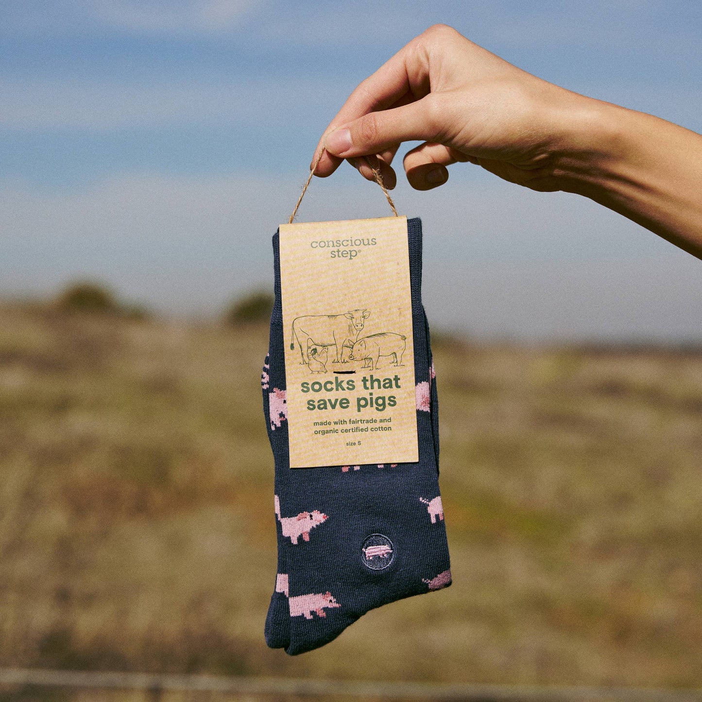 Socks that Save Pigs: Small