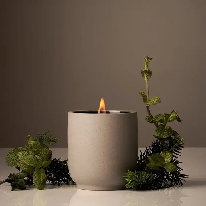 Signature Candle | Half Case: Neroli Leaf