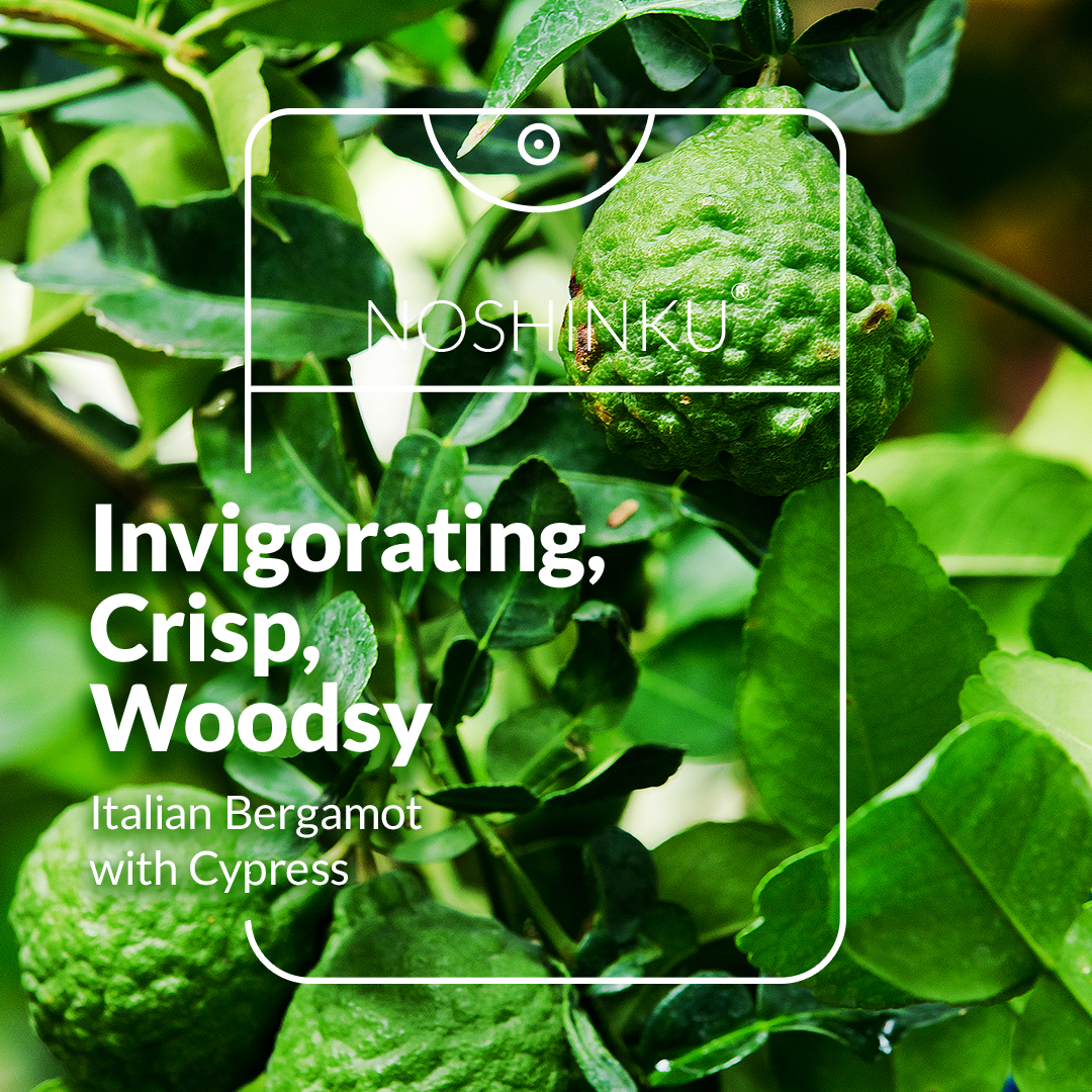 REFILLABLE Bergamot Ultra-Moisturizing Pocket Hand Sanitizer